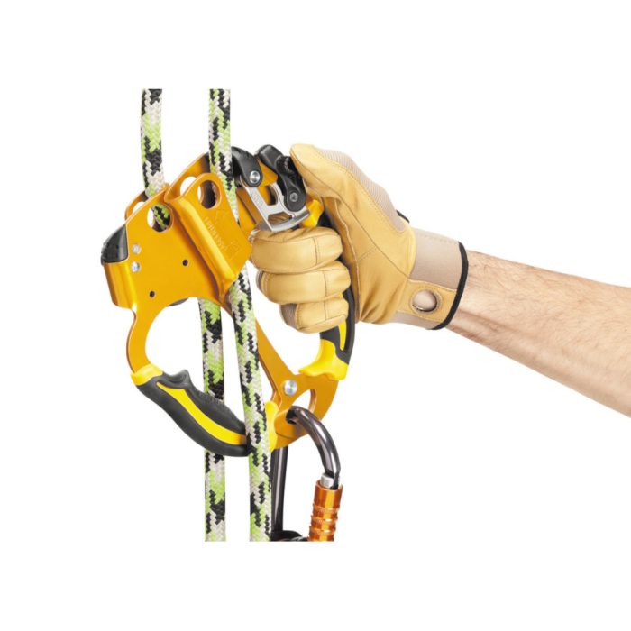 B19AAA-Ascentree-focus-2_LowRes-700x700